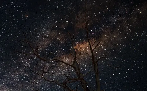 Embrace Your Soul And Mind