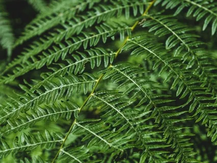 Embracing A New Normal Mindfulness Exercise