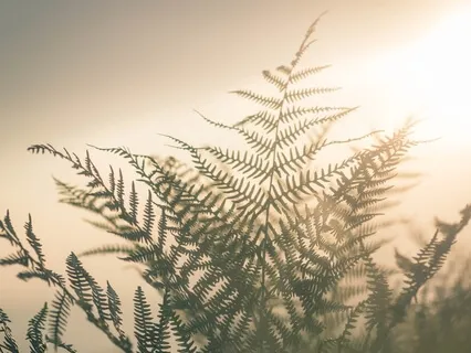 Embracing & Accepting Your Emotions