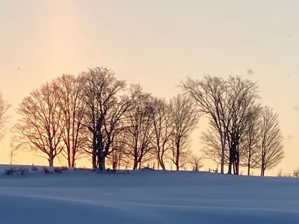 Embracing Boredom - Guided Meditation