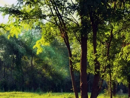 Embracing Breathing Music For Anxiety Relief