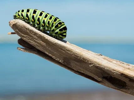 YKIITR #2 - Embracing Change