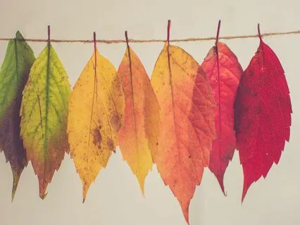 Embracing Change 417 Hz