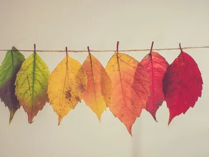 Embracing Change, Cultivates New Opportunities