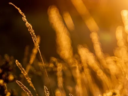 Embracing Change For Growth