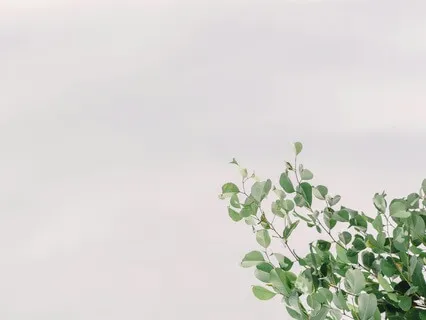 Embracing Change Reiki Meditation