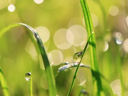 Embracing Change: The Sun And Rain Within