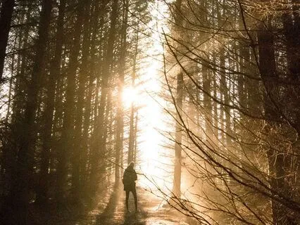 Embracing Change & Trust (Supportive Affirmations)