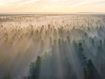 Embracing Change - Unraveling Shaltazar