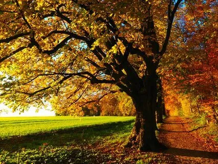 Embracing Change With 432 Hz