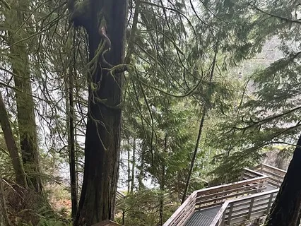 Embracing Change With Compassion And Love