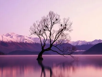 Embracing Change With Grace And Ease