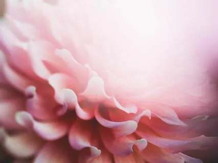 Embracing Compassion With Quan Yin