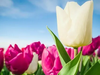 Embracing Constructive Rebellion: A Meditation With Music