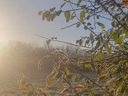 Embracing Darkness Meditation