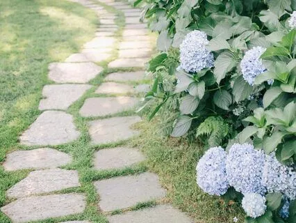 Embracing Disappointment: A Journey To Inner Peace