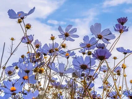 It's OK To Not Be OK – Meditation With Chimes