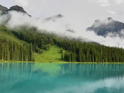 Embracing Eternal Love: A Bedtime Odyssey With Rumi