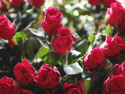 Embracing Forgiveness For Your Own Peace