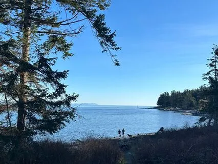 Embracing Gratitude And Every Day Beauty