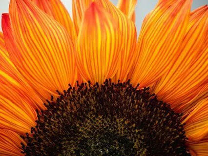 Embracing Gratitude Even On Tough Days