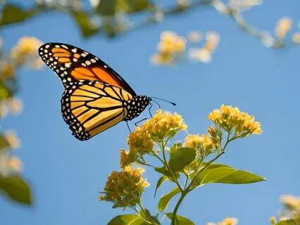 Embracing Growth As Educators