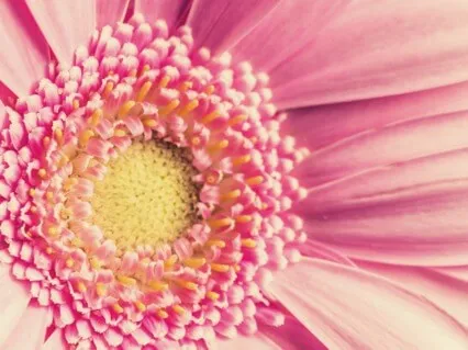 Embracing Happiness - Positive Mind In 8 Minutes Meditation