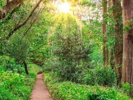 Embracing Imperfection | Inspired Mornings