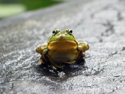 Embracing Imperfection