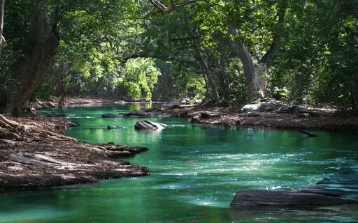 Embracing Impermanence