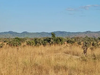 Embracing Impermanence