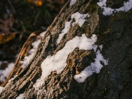 Embracing Impermanence