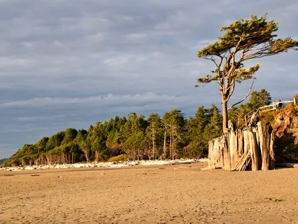 Embracing Inner Transformation