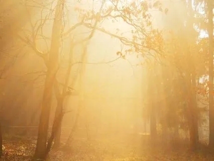 Embracing Light · Vocals & Guitar · 13-Min Sound Meditation