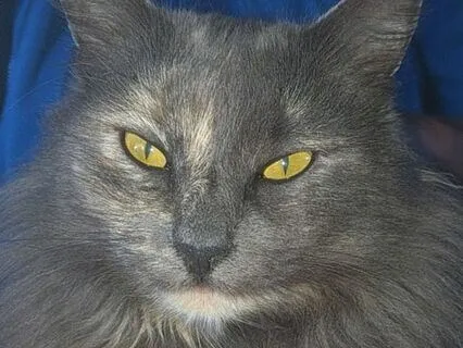 Embracing Love And Healing After Loss