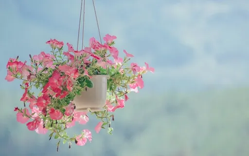 Embracing Love (Live Pano Jan 21)