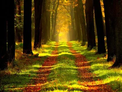 Embracing Miraculous Ease With 174 Hz