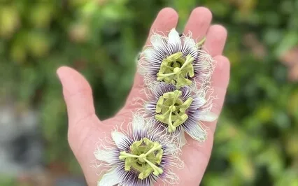 Embracing My True Value