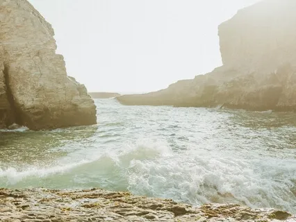 Embracing Neutrality