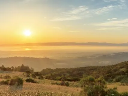 Embracing New Beginnings: A Guided Morning Meditation