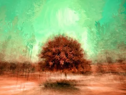 Embracing Not Knowing - Dissecting The Wisdom Of Shaltazar