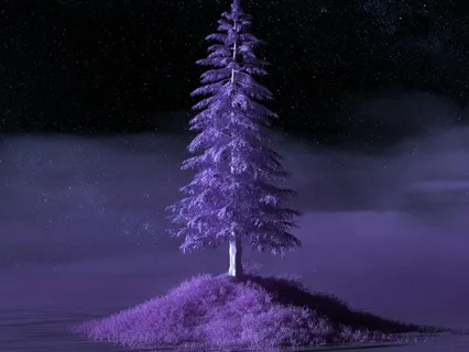 Embracing Our Journey From 3D To 5D