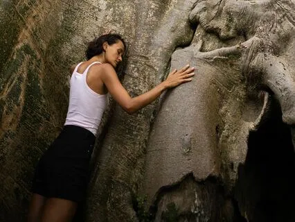 Embracing Peace: The Art Of Acceptance