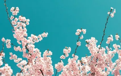 Embracing Physical Flaws Body Appreciation Meditation