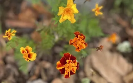 Embracing Power With Softness