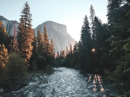 Embracing Profound Change