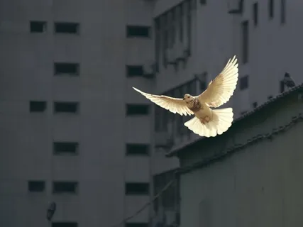 Embracing Radical Love - Weekly Energy Boost