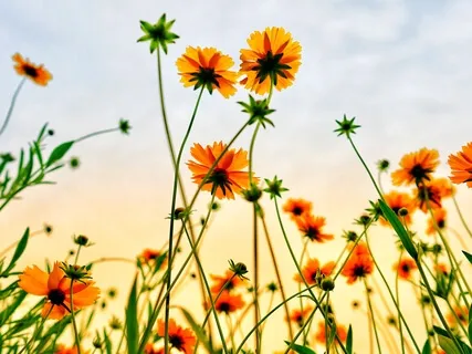 Embracing Recovery 2: Some Notes