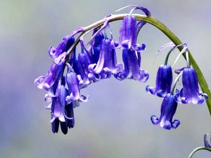 Embracing Self-Acceptance: A Journey Within