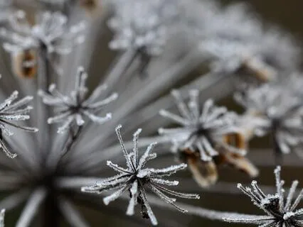 Embracing Self-Love And Acceptance